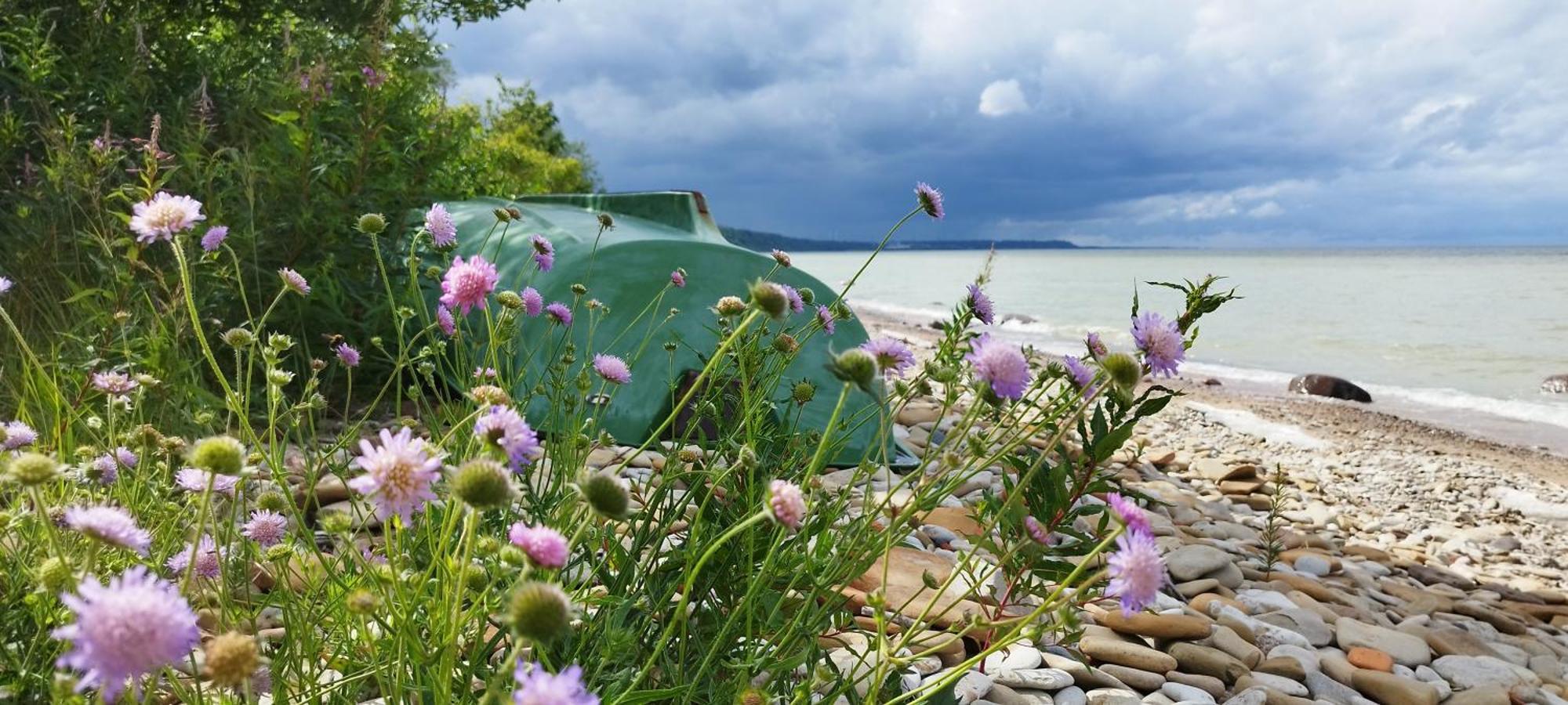 Mereaeaere Glamping Ja Rannamaja Liimala Екстериор снимка
